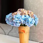 #190 Families Only - Descobrimentos By Holidays *